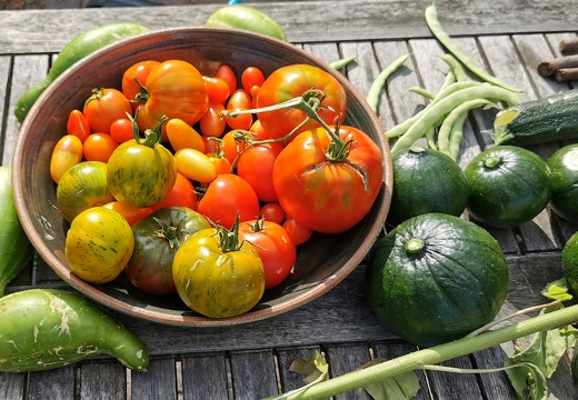Potager