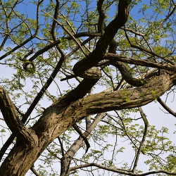 Square Tamron test 05-2025